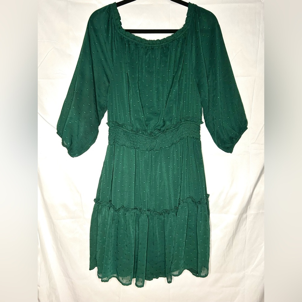 Long Sleeve Ryan Michelle Off Shoulder Dress Swiss Dot Ruffle Fall Spring